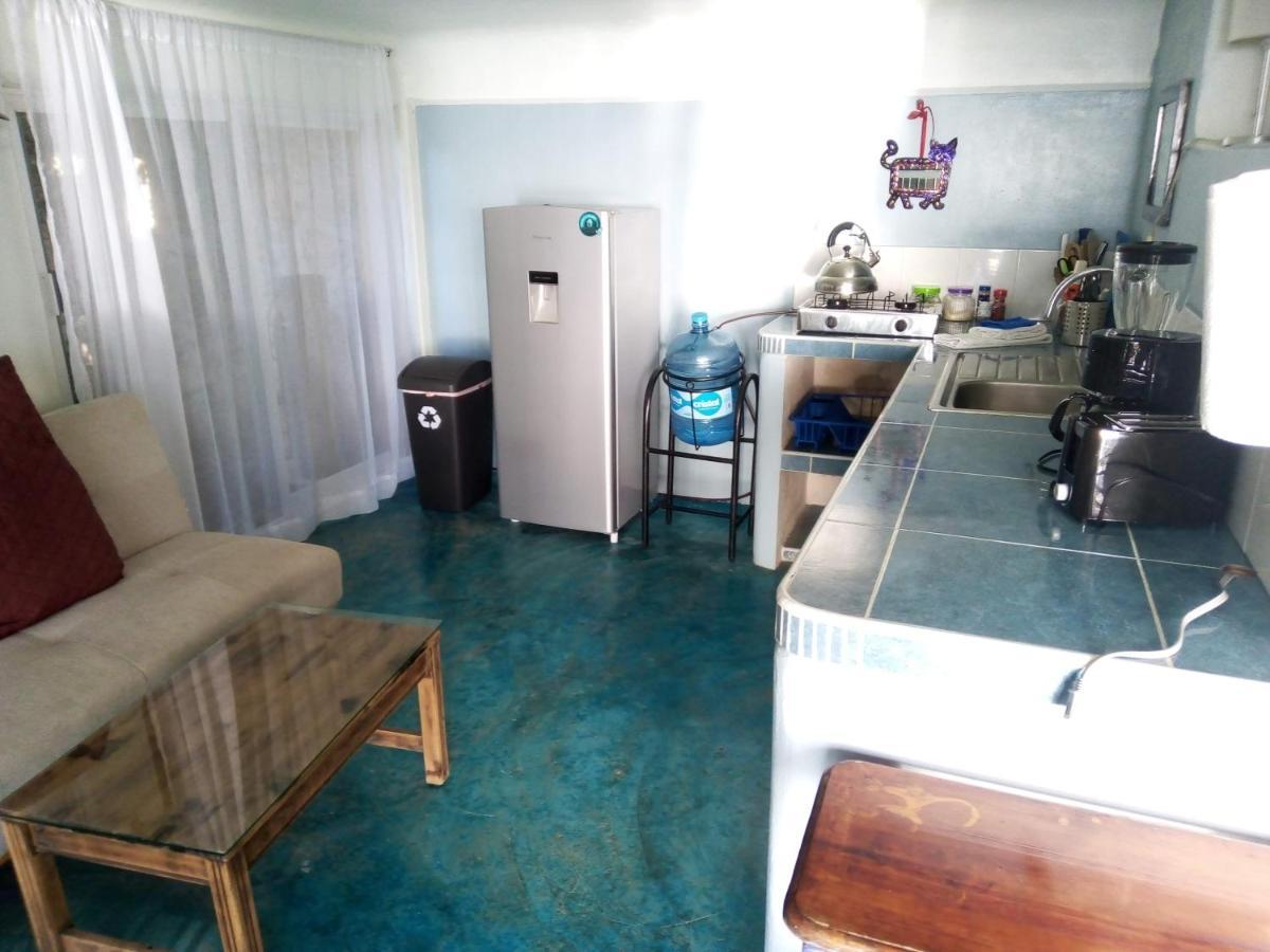 Guest house Agave-blue 3*