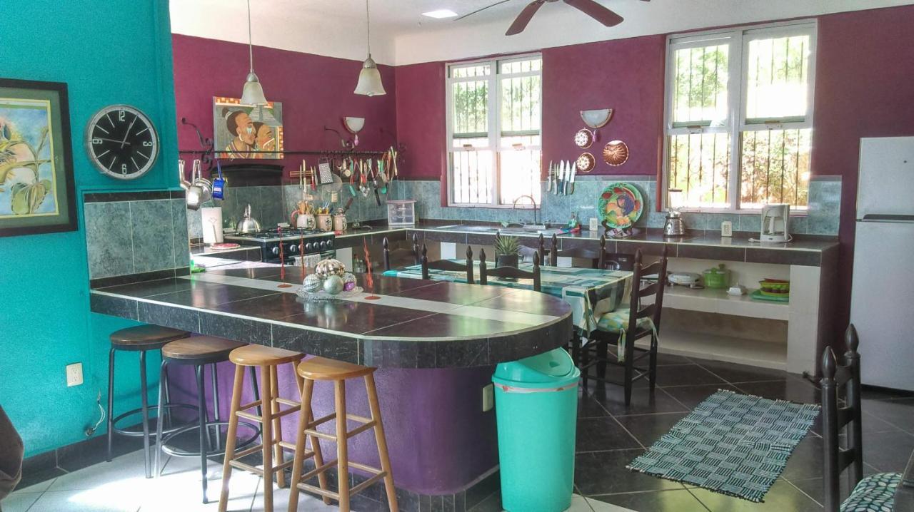 Agave-blue Guest house 3*
