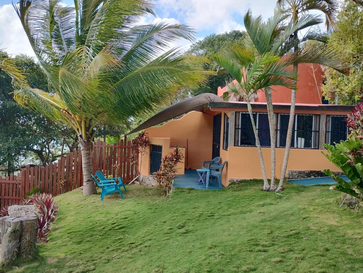 Agave-blue Guest house 3*